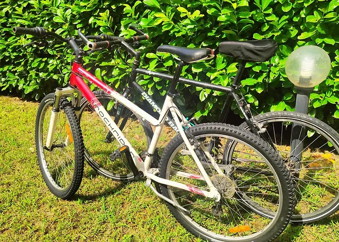 Cosycasa & Free Bike