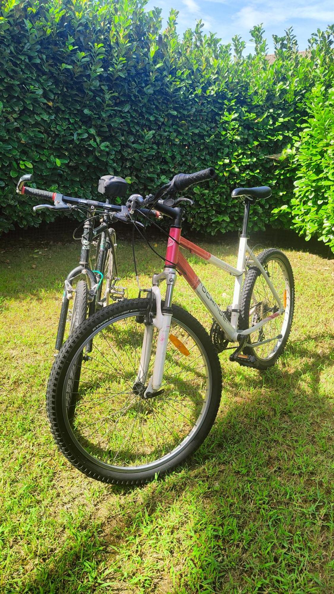 Cosycasa & Free Bike Turin