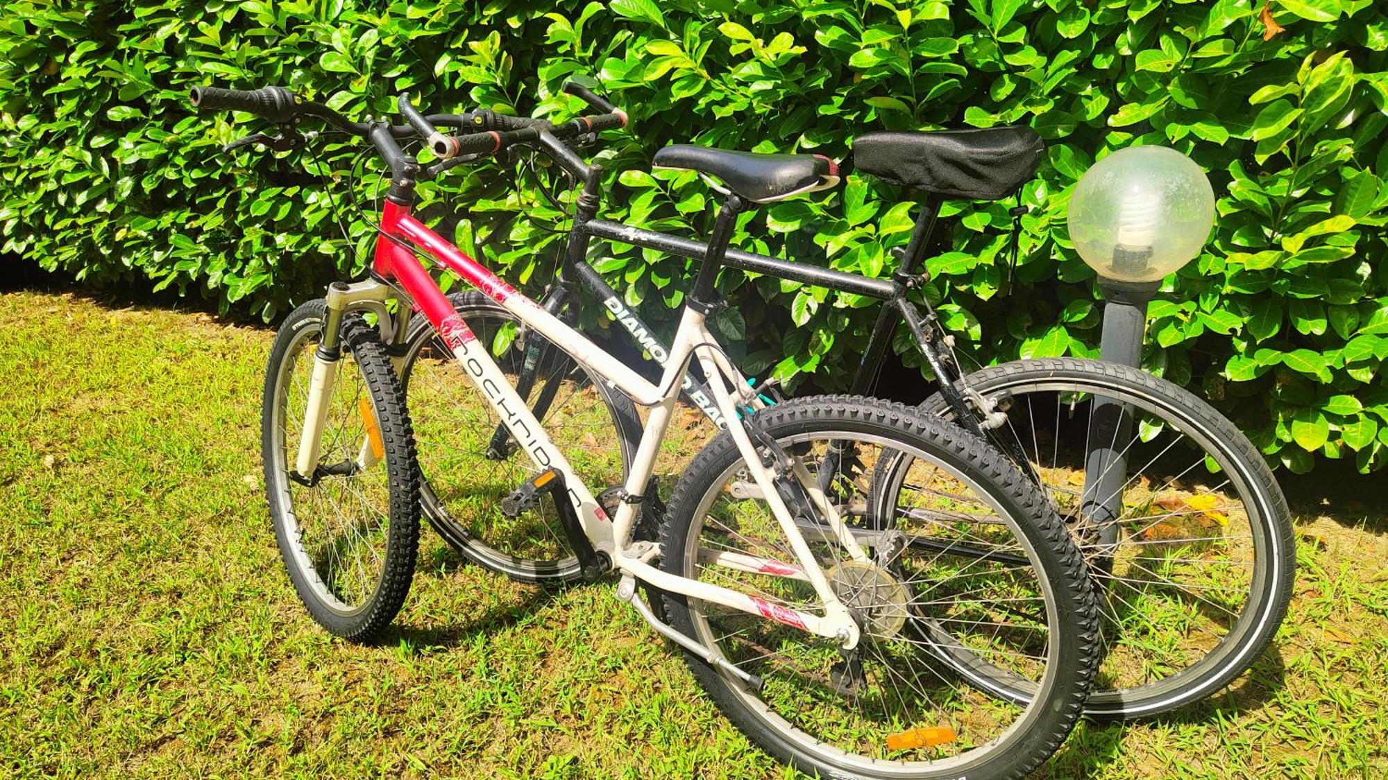 Cosycasa & Free Bike Apartment